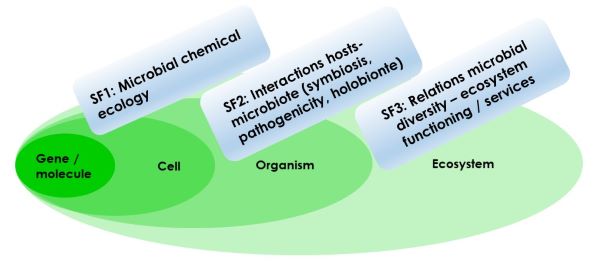 FrontsScience_ENG