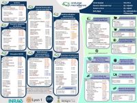 Organigramme_complet