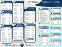 Organigramme_complet