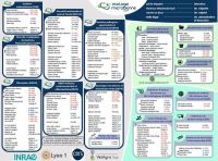 Organigramme_complet