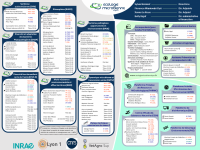 Organigramme_complet