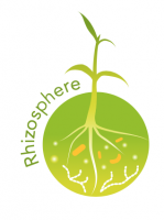 Logo_RHIZO