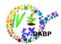 Logo-DABP