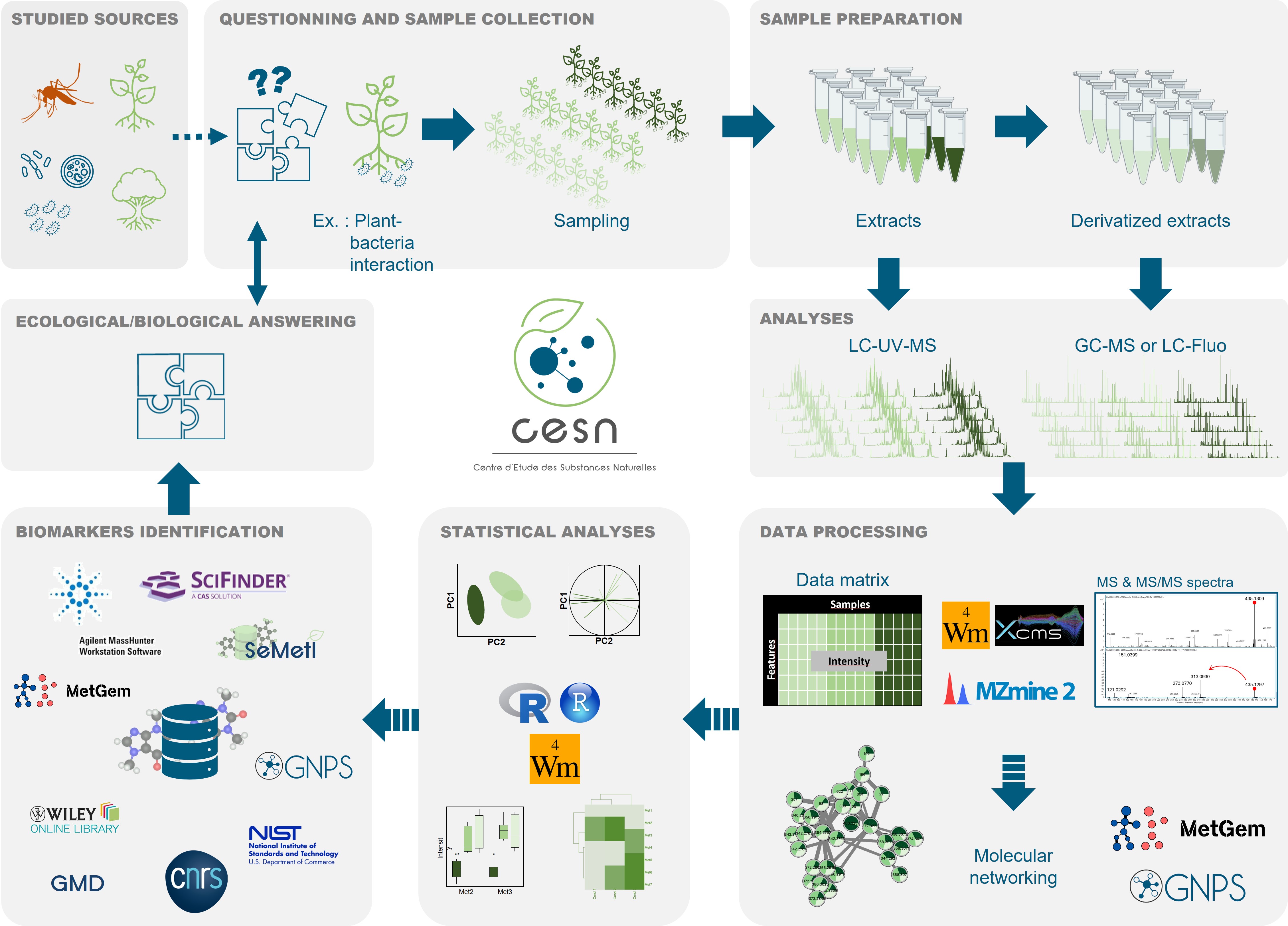 Workflow metabolomic CESN