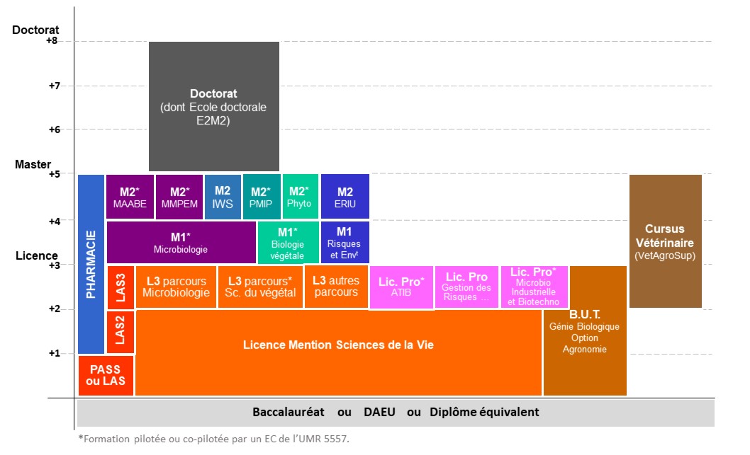 www-enseignement-FWD2022