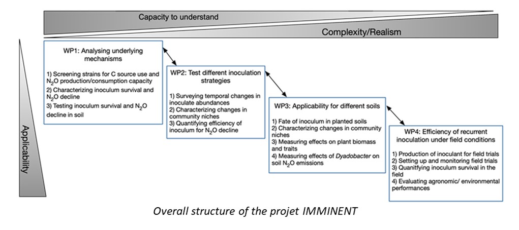 Project_Imminent